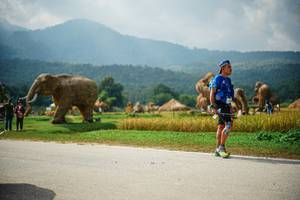 BIB: 
                            <button type="button" onclick="openModal(22434915)" class="btn btn-primary btn-sm float-right btn-popup" data-toggle="modal" data-target=".modal-high-quality">
                        <i class="fas fa-shopping-cart"></i> Add to Cart
                    </button>
                                            <button type="button" onclick="isThisMe(22434915, true)" class="btn btn-success btn-sm float-right btn-popup btn-isme hidden" data-toggle="tooltip" data-placement="bottom" title="นี่คือรูปของคุณใช่ไหม คลิกที่นี่เพื่อเอาเข้าอัลบั้ม">
                        <i class="fas fa-plus"></i> Add to album
                    </button>
                    <button type="button" onclick="isThisMe(22434915, false)" class="btn btn-warning btn-sm float-right btn-popup btn-isnotme hidden">
                        <i class="fas fa-ban"></i> Remove from album
                    </button>